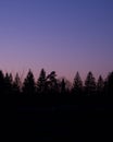 Landscape with gradient sunset sky and trees shilouettes