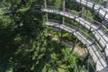 Tree tower, Tree Top Walk, Bavarian Forest National Park, NeuschÃÂ¶nau, Bavaria, Germany