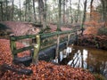 Tree trunk bridge in autumn forest Royalty Free Stock Photo