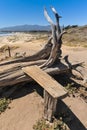 Tree trunk with built in bench of wood Royalty Free Stock Photo