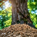 Tree trunk close up with wood pellet in foreground symbolizing transformation journey Royalty Free Stock Photo