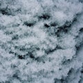 Snow texture. Wooden surface covered with snow.