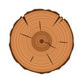 Tree trunk cross section, on white, clipping path included Royalty Free Stock Photo