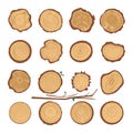 Tree Trunk Cuts or Wood Cross Section Collection Royalty Free Stock Photo