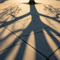 Tree trunk emerging from a paved surface, casting long, dramatic shadows on cracke Royalty Free Stock Photo