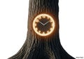 A tree trunk features a glowing analog clock embedded into its surface. The illuminated clock face Royalty Free Stock Photo