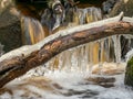 A tree trunk in the foreground and fragments of frozen icicles Royalty Free Stock Photo