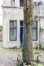 Tree trunk in front of old white colored house in dutch city Deventer. Overijssel, Netherlands. Royalty Free Stock Photo
