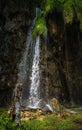 Tree trunk in front of tall waterfall illuminated by sunlight in Plitvice Lakes Royalty Free Stock Photo