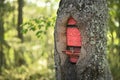 Tree trunk grown around a classic old style red mailbox Royalty Free Stock Photo