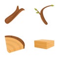 Tree trunk icons set cartoon vector. Natural lumber carpentry material