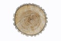 Tree trunk. Incision. Texture of growth rings of aspen and wood cracks Royalty Free Stock Photo