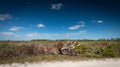 Tree trunk and landscape in a beautiful nature park Royalty Free Stock Photo