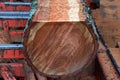 Close up on tree trunk being cut for lumber on a saw Royalty Free Stock Photo