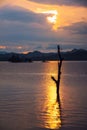 Tree trunk over lake at sunset Royalty Free Stock Photo