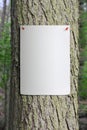 Tree Trunk with Paper Poster Pinned to it