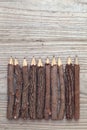 Tree trunk pencils Royalty Free Stock Photo