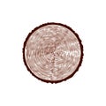 Tree trunk with rings. Annual tree growth rings. vector illustration isolated on white background