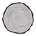 Tree trunk rings design isolated on white background