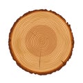 Tree trunk rings vector texture Royalty Free Stock Photo