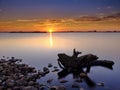 Tree trunk at a rocky lakeshore under a colourful sunset