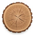 Of a tree trunk showcasing concentric growth rings indicating age Royalty Free Stock Photo