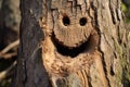 a tree trunk with a smiley face carved in it Royalty Free Stock Photo