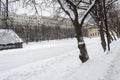 Tree Trunk in Snow in Winter Day in Park Royalty Free Stock Photo