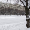 Tree Trunk in Snow in Winter Day in Park Royalty Free Stock Photo