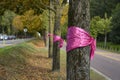 Tree trunk wrapped in a pink ribbon to celebrate pink october and the fight against breast cancer Royalty Free Stock Photo