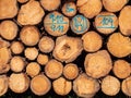 Tree trunks background of lumber material