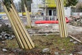 Tree trunks on a construction site covered with boards to protect them from damage