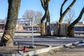 Tree trunks on a construction site covered with boards to protect them from damage