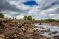 Tree trunks exposed from the former river bank in the drained Earlstoun Dam Royalty Free Stock Photo