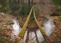 Tree trunks fallen over a stream and covered with moss, in the autumn forest Royalty Free Stock Photo