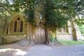 Tree trunks flanking historic church door