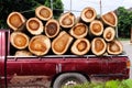 Tree trunks overlap in old red pickup truck Royalty Free Stock Photo