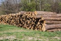 Tree trunks piled up