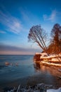 Driftwood and uprooted trees on Lielupe coast at Baltic sea.