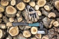 Tree trunks stacked with axe and gloves