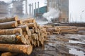 Tree trunks wood logs piled outside paper mill, logs waiting for processing in lumber yard Royalty Free Stock Photo