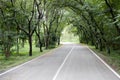 The tree tunnel in the countryside beside the road Royalty Free Stock Photo