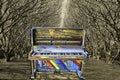 Tree Tunnel Jazz Piano