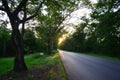 Tree Tunnel Natural Road at Sunset time Royalty Free Stock Photo