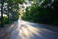 Tree Tunnel Natural Road at Sunset time Royalty Free Stock Photo