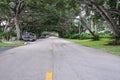 Tree Tunnel in a neighborhood