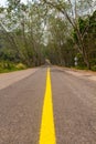 Tree tunnel road Royalty Free Stock Photo