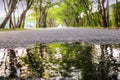 Tree tunnel road Royalty Free Stock Photo