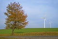 Tree and two wind power plants