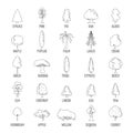Tree types icons set, outline style Royalty Free Stock Photo